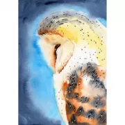 Красота волков