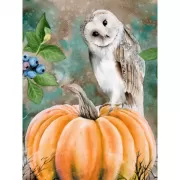 Красота волков