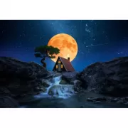 Красота волков