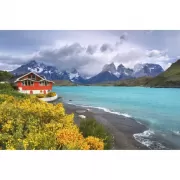 Красота волков