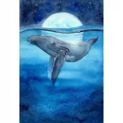 Музей-заповедник «Царицино». Путеводитель + карта