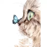 Красота волков