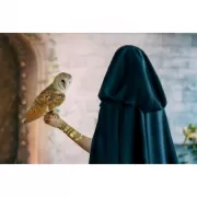 Красота волков