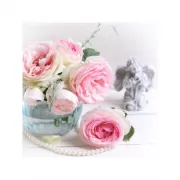 Красота волков