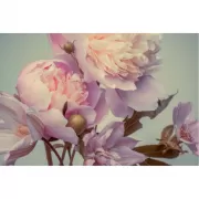 Музей-заповедник «Царицино». Путеводитель + карта