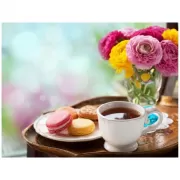 Красота волков