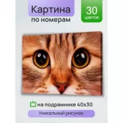 Я не ревную