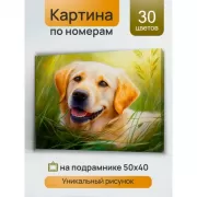 Я не ревную