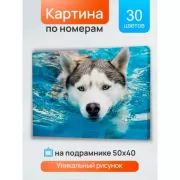 Я не ревную