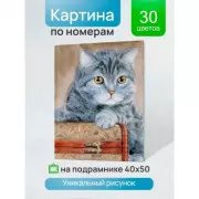 Я не ревную