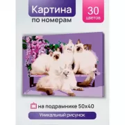 Красота волков