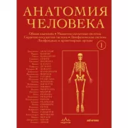 Анатомия человека. Том 1