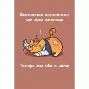 Вселенная исполнила все мои желания. Теперь мы оба в шоке