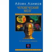 Человеческий мозг. От аксона до нейрона