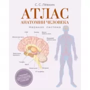 Атлас анатомии человека. Нервная система