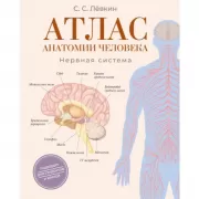 Атлас анатомии человека. Нервная система