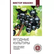Ягодные культуры. Уход и сбор урожая винограда, малины, смородины