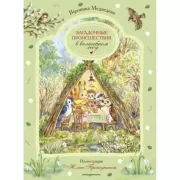 Загадочные происшествия в волшебном лесу