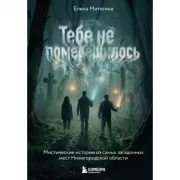 Тебе не померещилось. Мистические истории из самых загадочных мест Нижегородской области