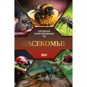 Насекомые