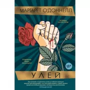 Улей