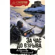За час до взрыва