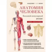 Анатомия человека: большой популярный атлас
