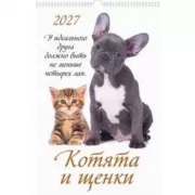 Котята и щенки