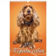 Породы собак