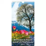 Волшебный мир природы