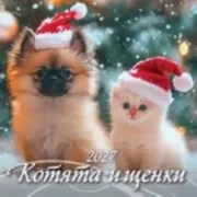 Котята и щенки