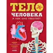 Тело человека и как оно работает