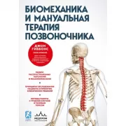 Биомеханика и мануальная терапия позвоночника