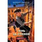 Тень за стеной