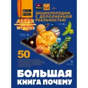 Большая книга почему