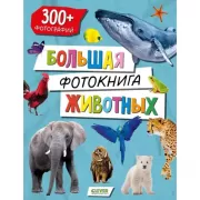 Большая фотокнига животных