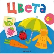 Цвета