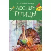 Лесные птицы