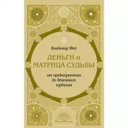 Деньги и матрица судьбы. От предназначения до денежного изобилия