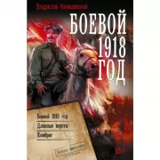 Боевой 1918 год